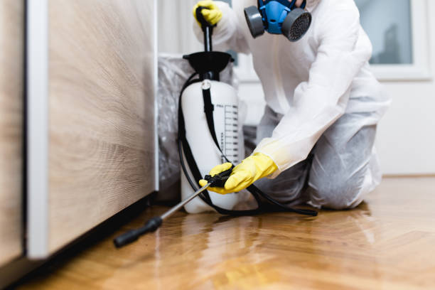 Trusted Mount Olive, AL Pest Control Experts