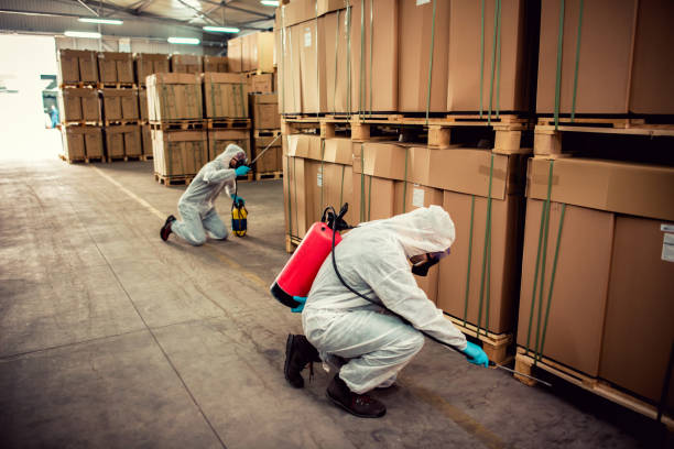 Best Mosquito Control Services  in Mount Olive, AL