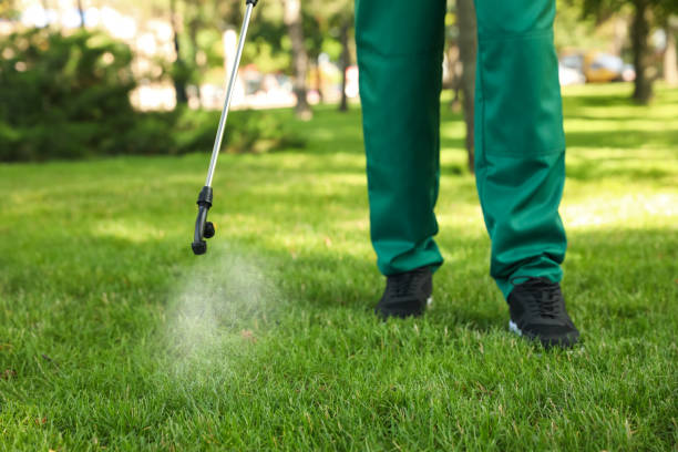 Best Residential Pest Control  in Mount Olive, AL