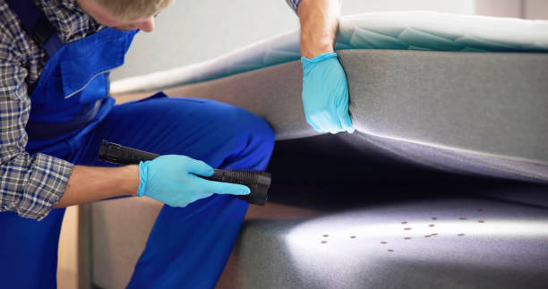 Best Rat Extermination Near Me  in Mount Olive, AL