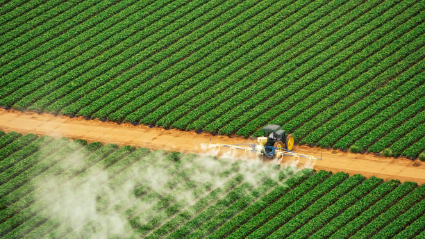 Best Best Pest Control Companies  in Mount Olive, AL