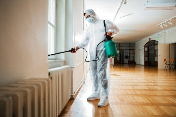 Wasp Removal Services in Mount Olive, AL