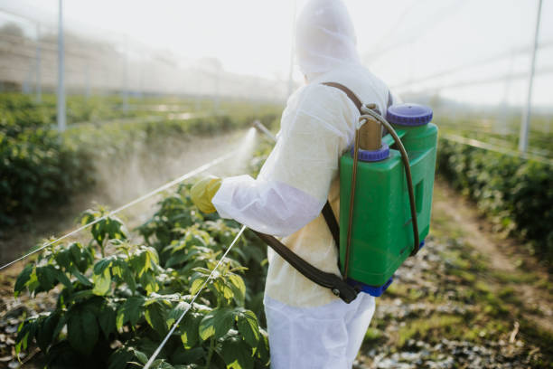 Best Affordable Pest Control Services  in Mount Olive, AL